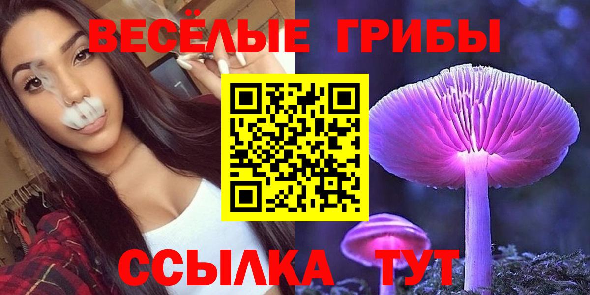 Карпинск  Псилоцибиновые грибы Cubensis  Вход с VPN 